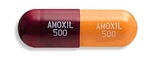 Bimoxan - Amoxil bestellen
