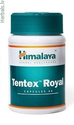 Tentex Royal bestellen